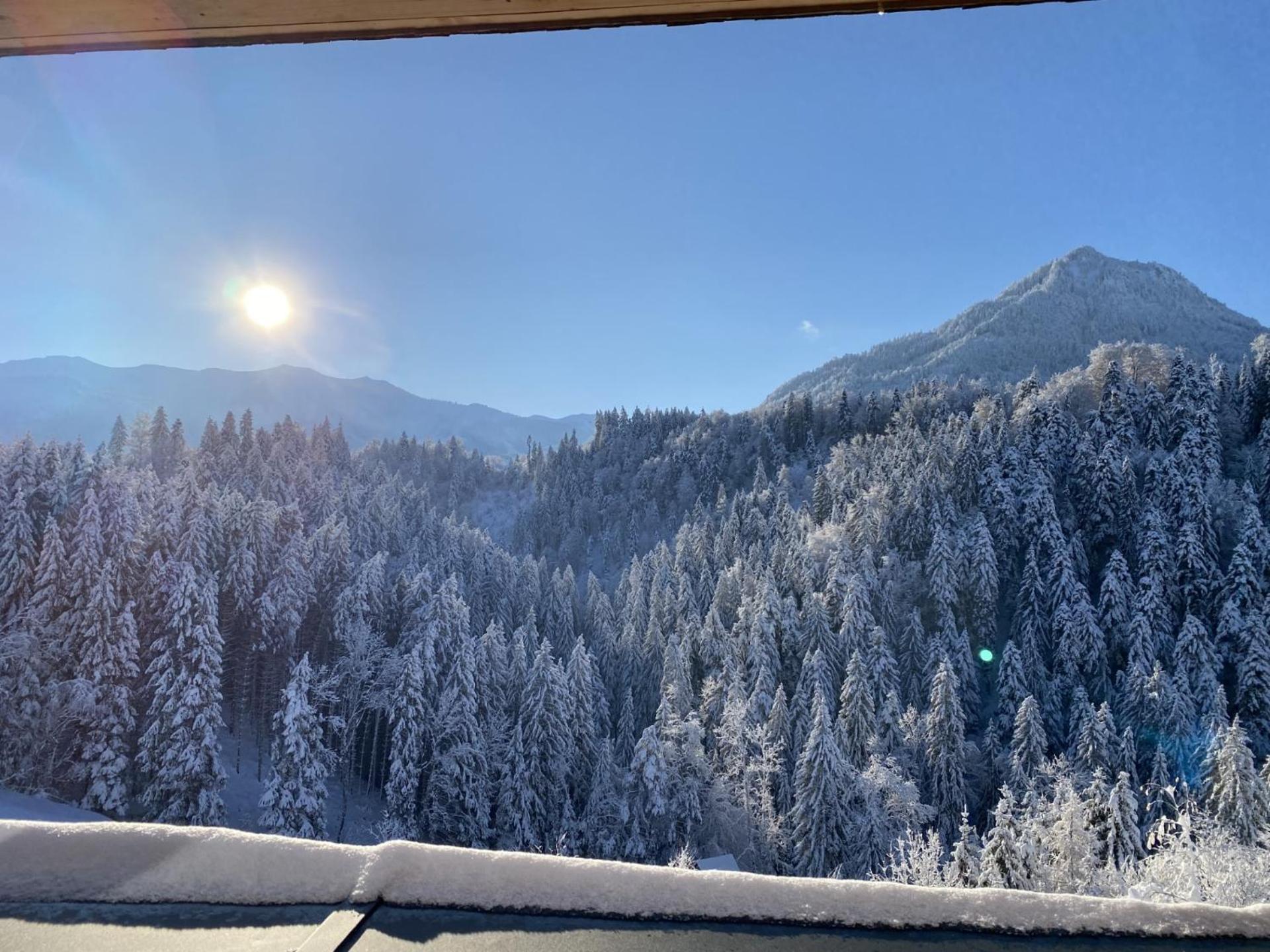 Wohnung Staufenblick Und Wohnung Firstblick Dornbirn Luaran gambar
