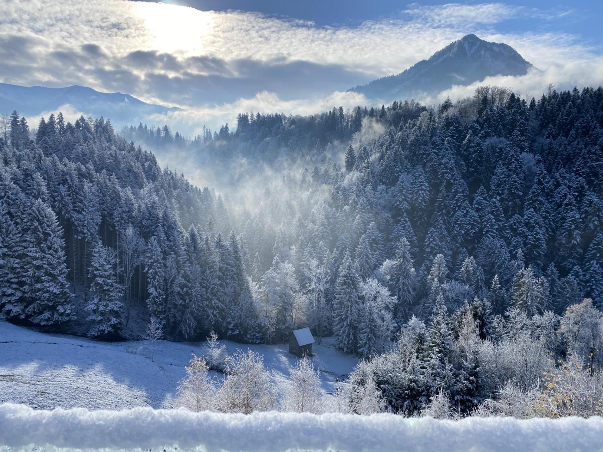 Wohnung Staufenblick Und Wohnung Firstblick Dornbirn Luaran gambar