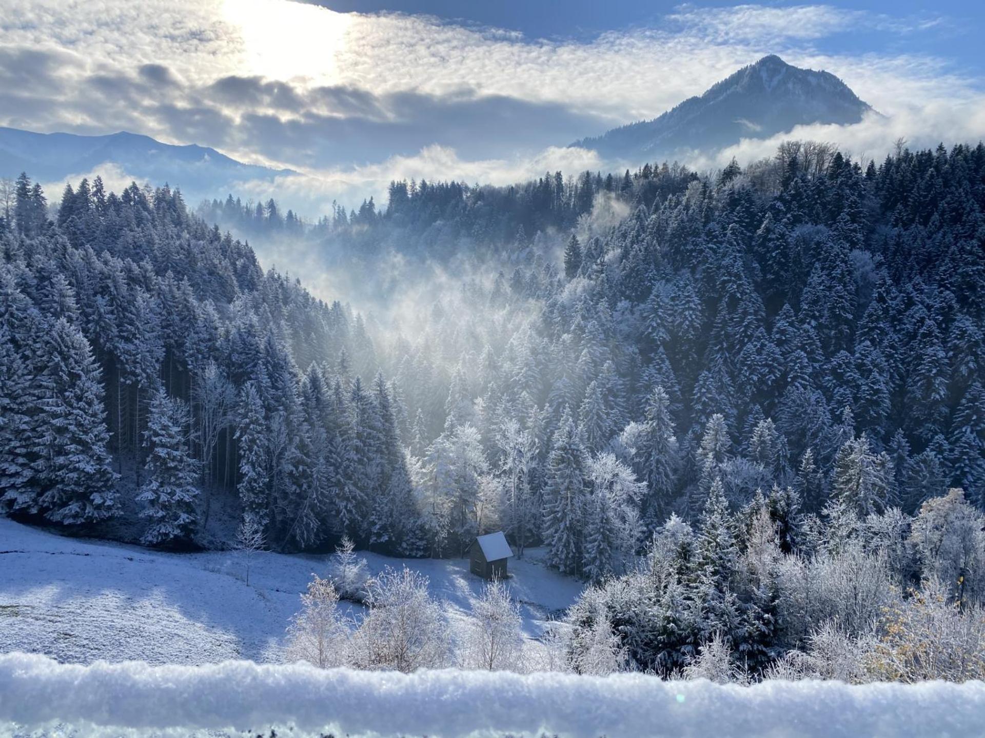 Wohnung Staufenblick Und Wohnung Firstblick Dornbirn Luaran gambar